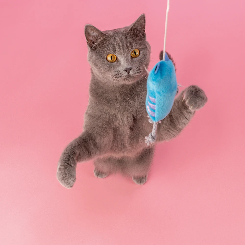 JP Spielangel Katze Kunststoff/Polyester 47 cm