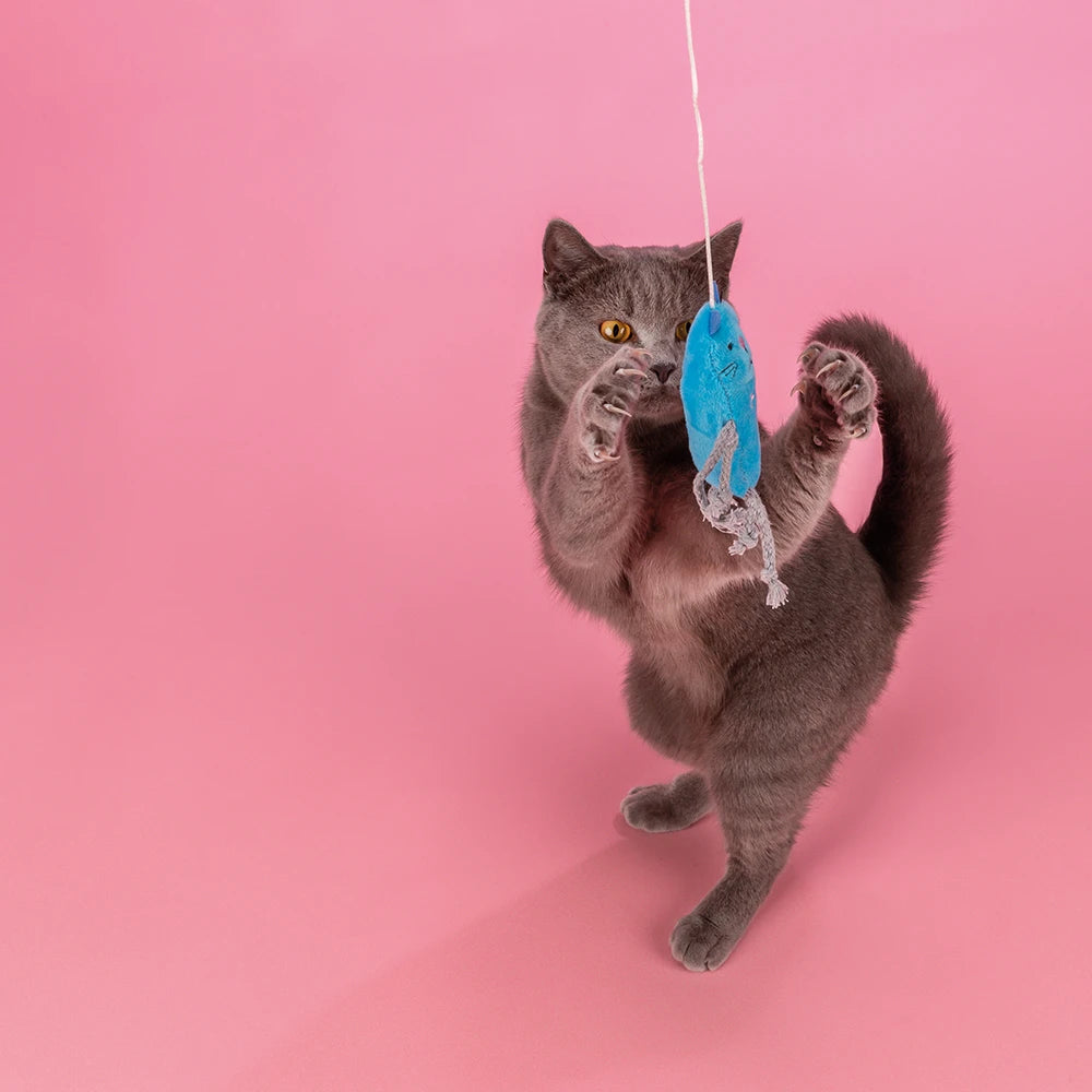 JP Spielangel Katze Kunststoff/Polyester 47 cm