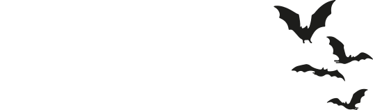 Nielsen Scan-Shop